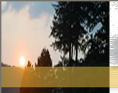 top left logo